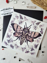 Load image into Gallery viewer, Death Head Moth 1 Greeting Card
