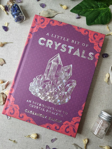 A Little Bit of Crystals Book with Crystal Chips and Flowers