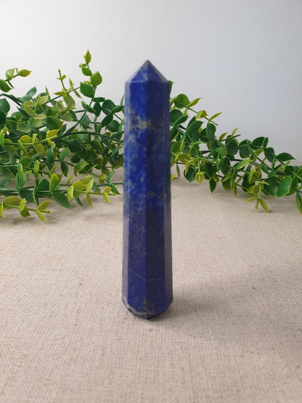 Lapis Lazuli Tower near green plant