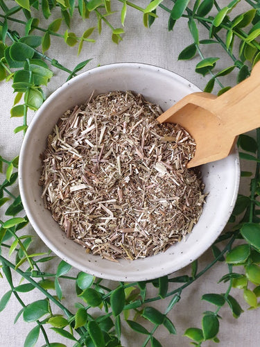 Vervain in a bowl with wooden scoop